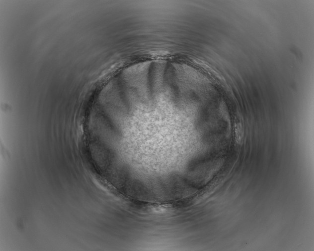 X0000090600618200708071144