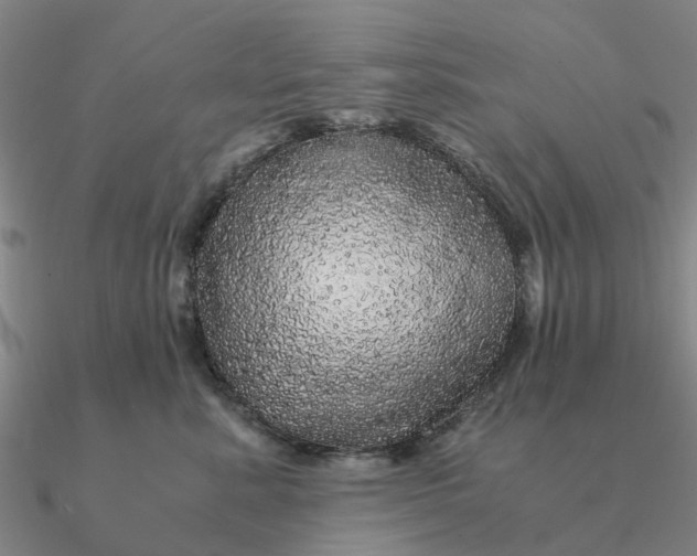 X0000090600619200708071144