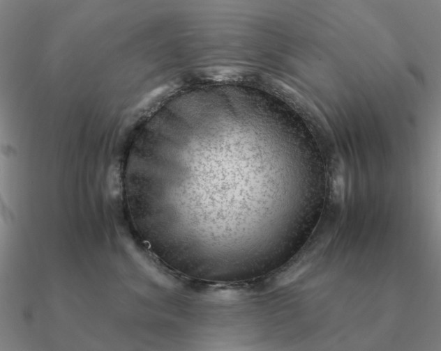 X0000090600620200708071144