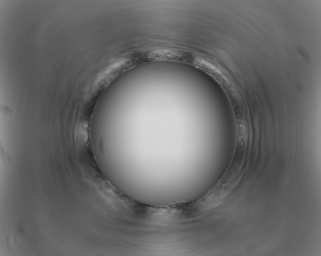 X0000090600621200708071144