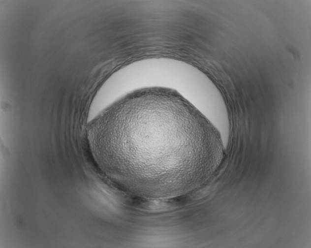 X0000090600623200708071144