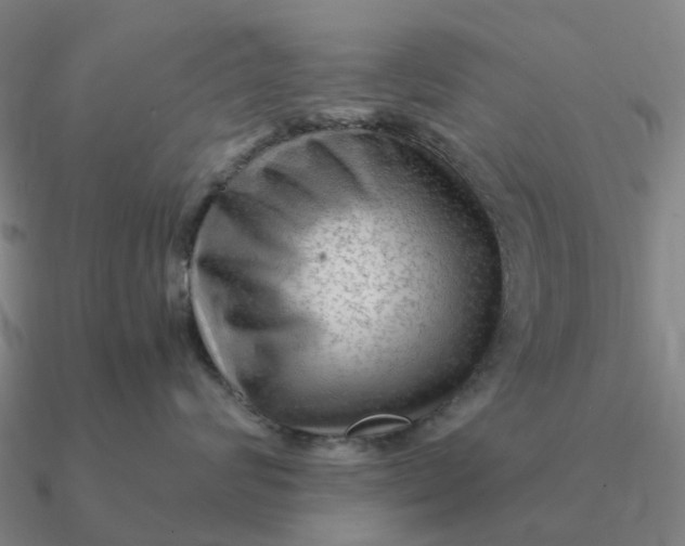 X0000090600624200708071144