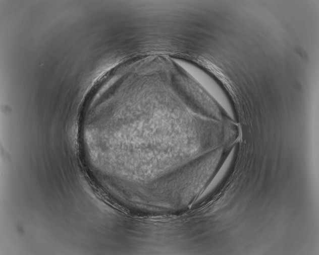 X0000090600627200708071143