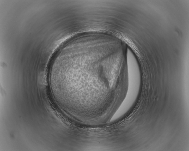 X0000090600628200708071143