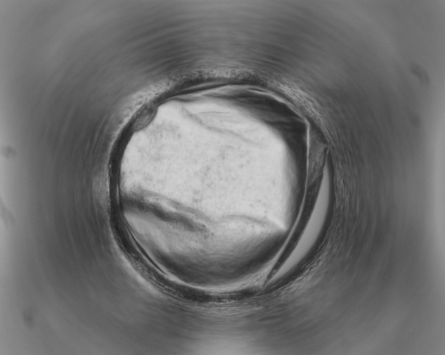 X0000090600630200708071143