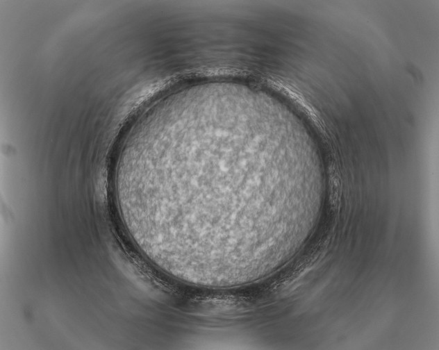 X0000090600631200708071143