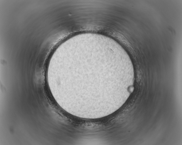 X0000090600632200708071143