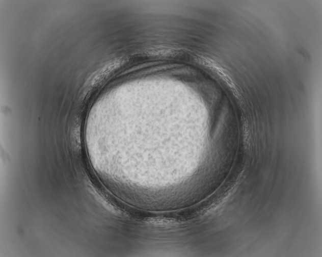 X0000090600633200708071143