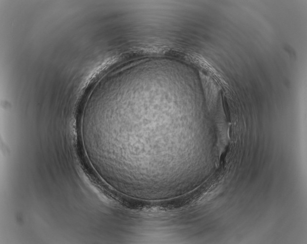 X0000090600634200708071143