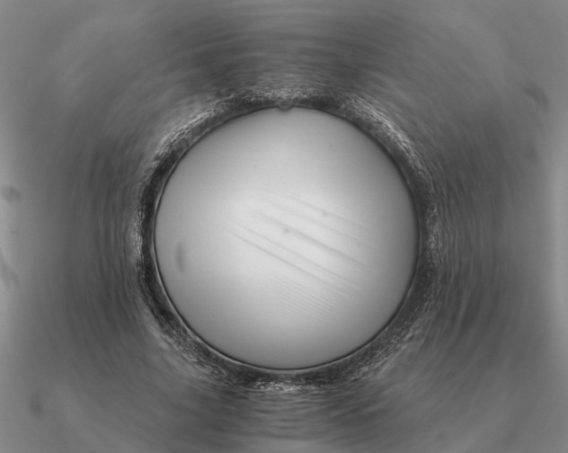 X0000090600635200708071143