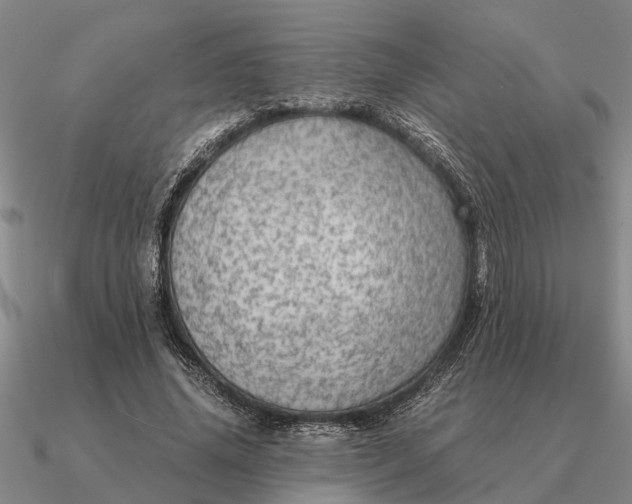 X0000090600636200708071143