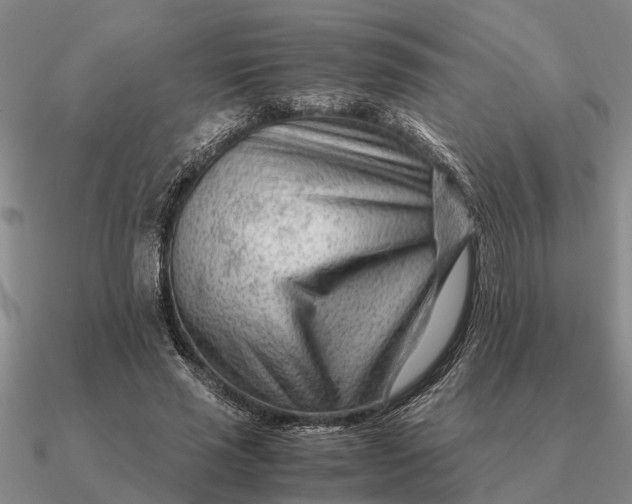 X0000090600637200708071143