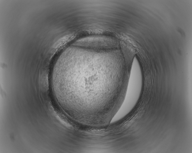 X0000090600638200708071143