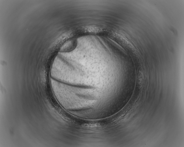 X0000090600639200708071143