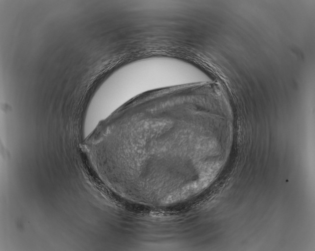 X0000090600641200708071143