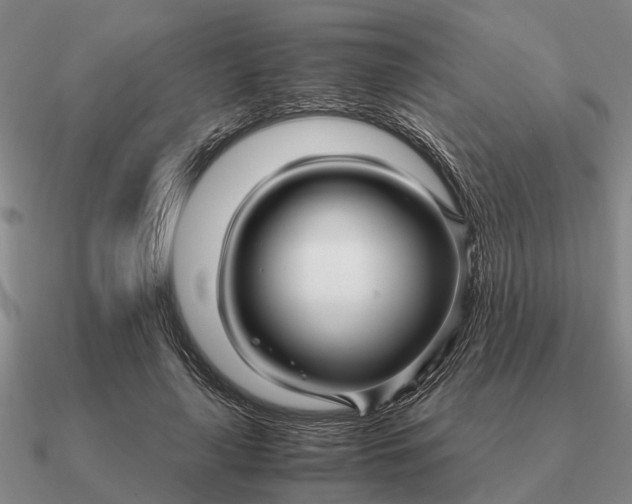 X0000090600643200708071143