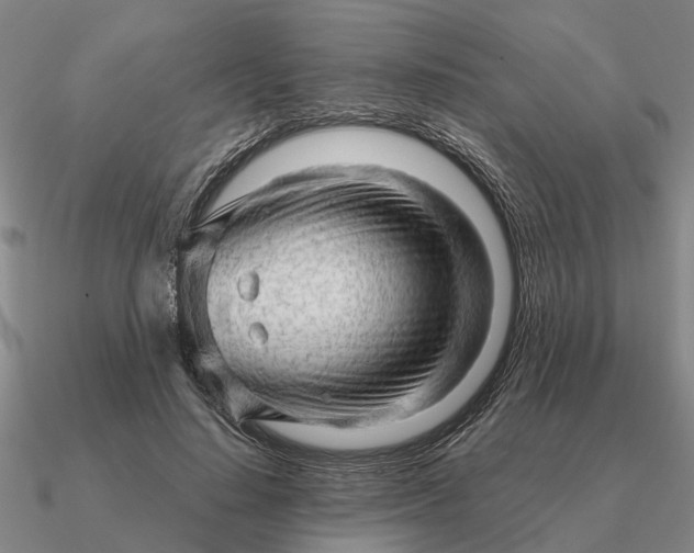 X0000090600644200708071143