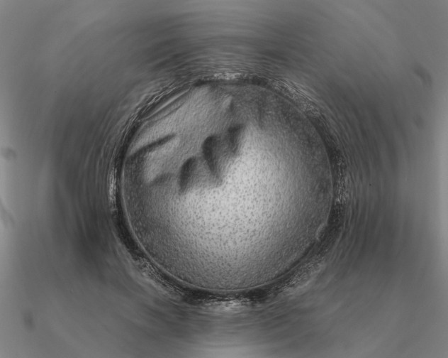 X0000090600646200708071143