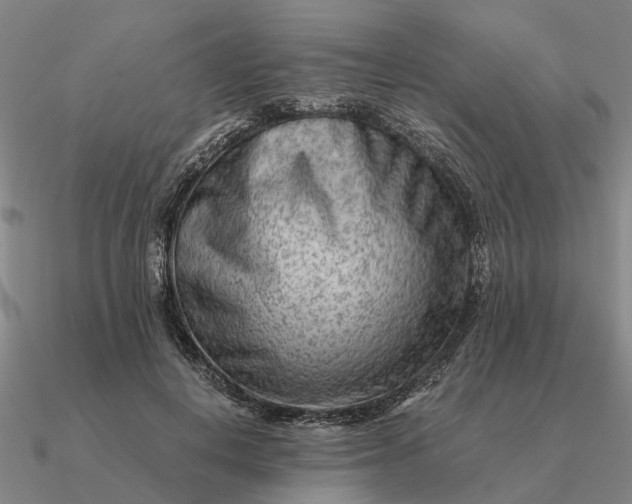 X0000090600648200708071143