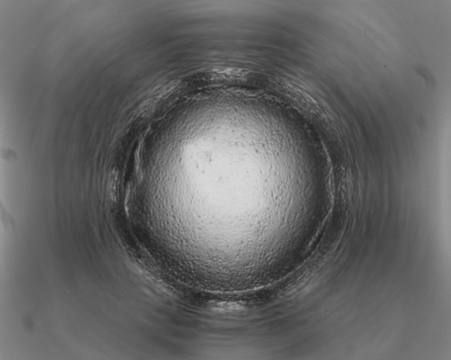 X0000090600649200708071143