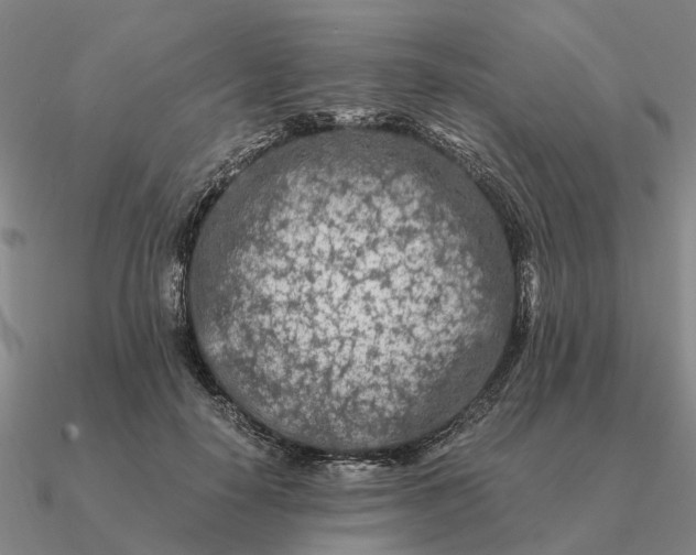 X0000090600650200708071143