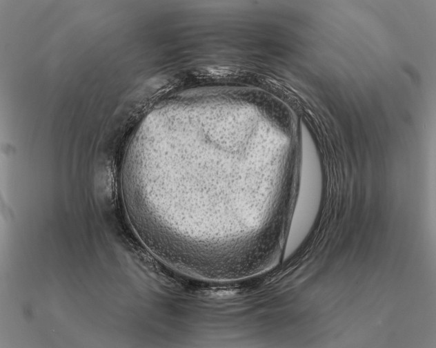 X0000090600651200708071143