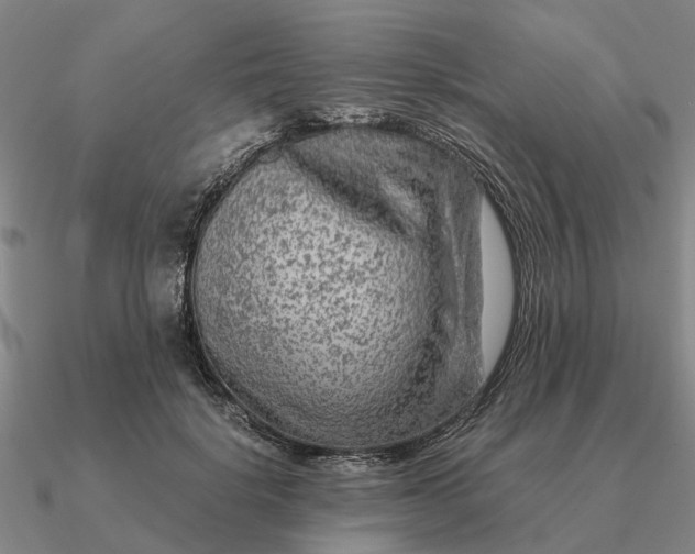 X0000090600652200708071143