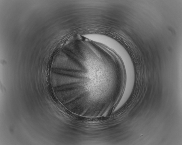 X0000090600653200708071143