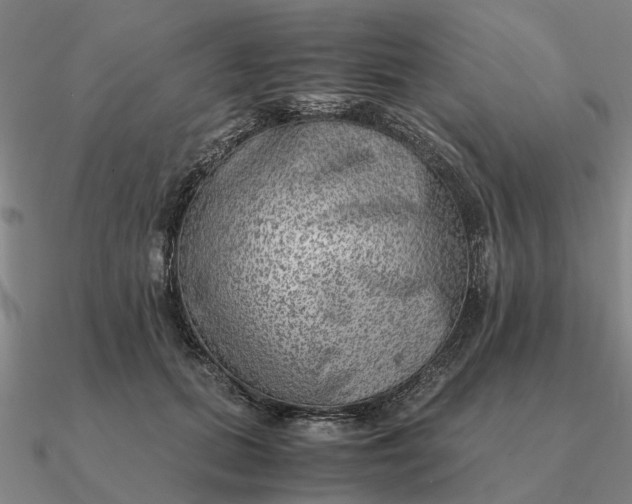 X0000090600655200708071143