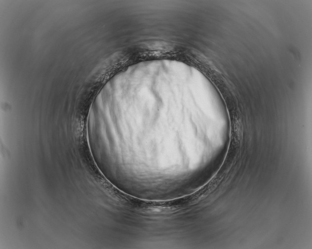 X0000090600657200708071143