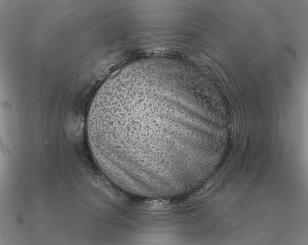 X0000090600660200708071144