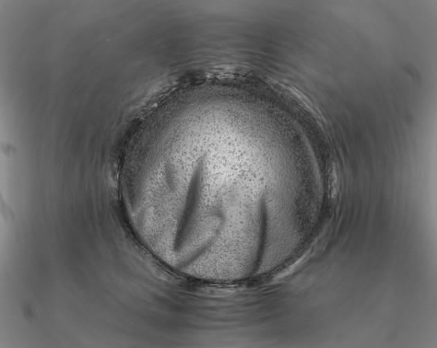 X0000090600661200708071144