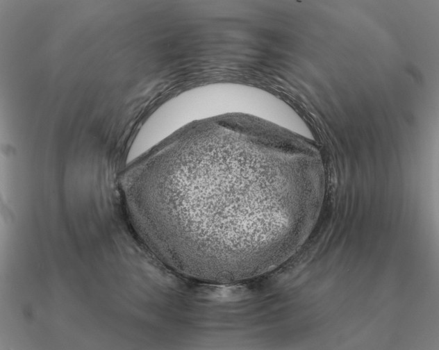 X0000090600663200708071144