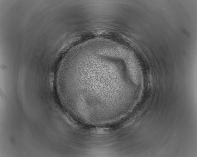 X0000090600664200708071144