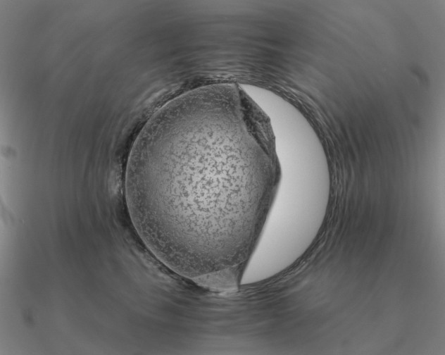 X0000090600665200708071144