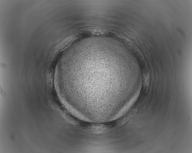 X0000090600666200708071144