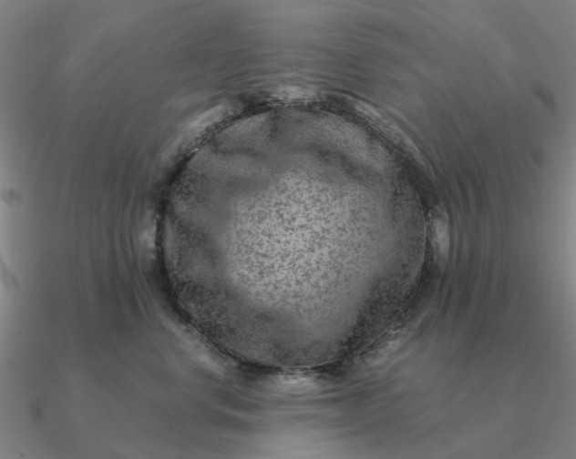 X0000090600668200708071144