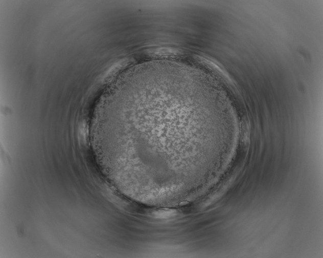 X0000090600669200708071144