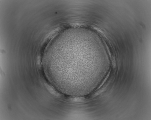 X0000090600670200708071144