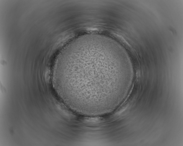 X0000090600671200708071144