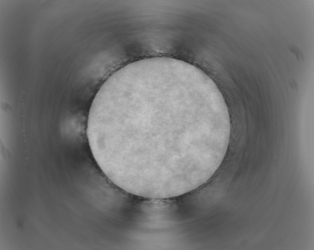 X0000090600672200708071144