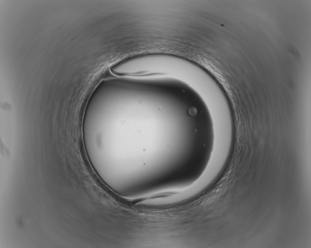 X0000090600673200708071143