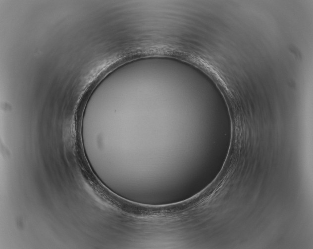 X0000090600674200708071143