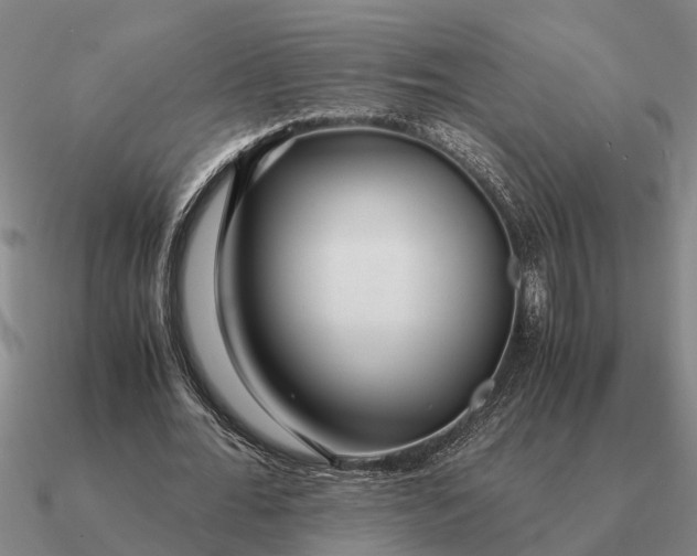 X0000090600676200708071143