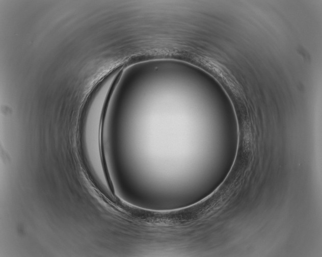 X0000090600677200708071143