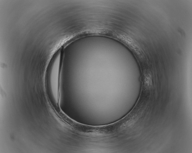 X0000090600678200708071143