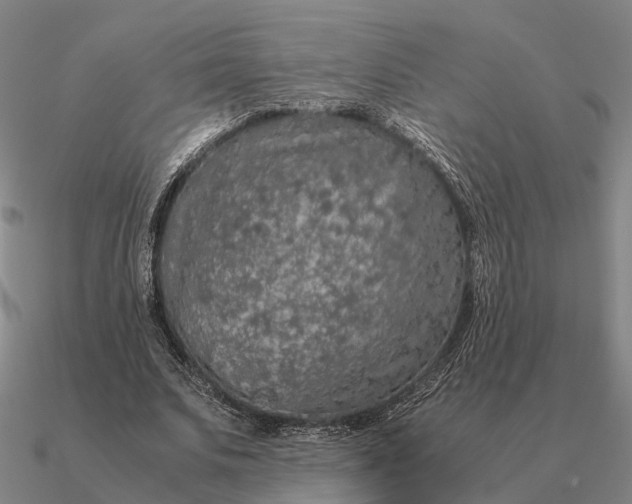 X0000090600679200708071143