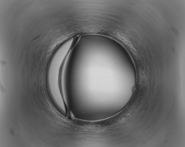 X0000090600681200708071143