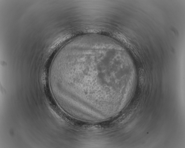 X0000090600683200708071143