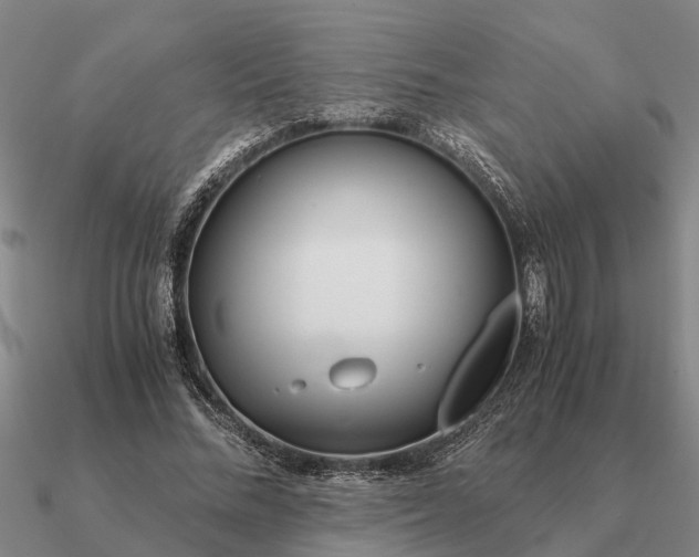 X0000090600684200708071143